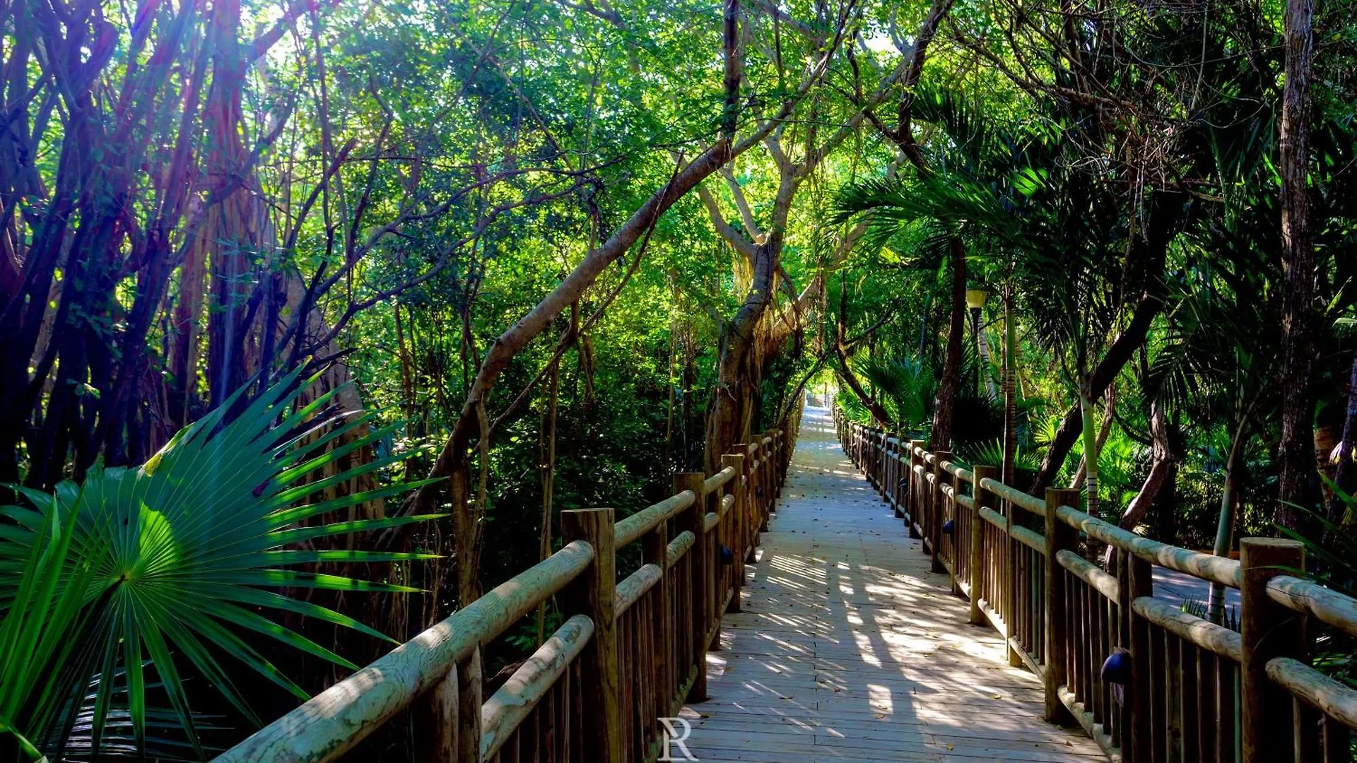 Estates Two Bedroom - Riviera Maya Puerto Morelos Feriested
